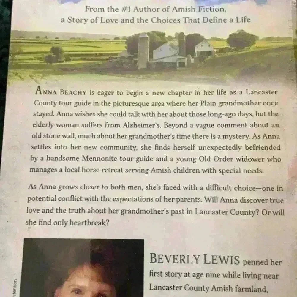 The Stonewall by Beverly Lewis - Picture 4 of 5
